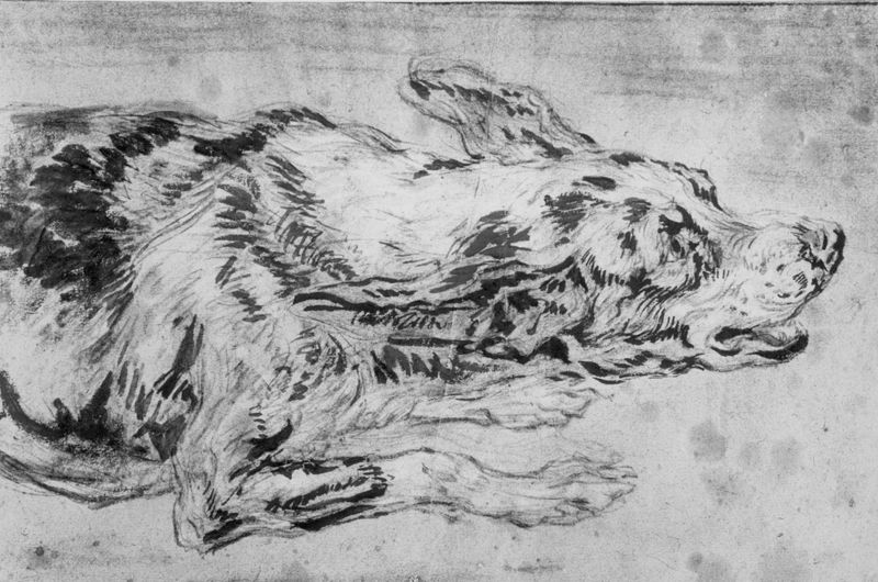 Liggende hond