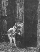 B114767