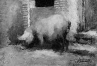 B115497