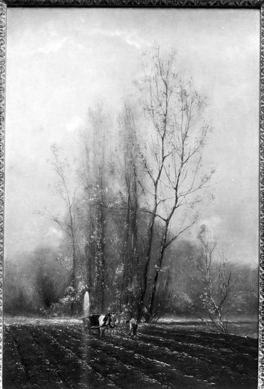 Paysage - Automne