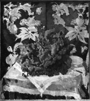 B117186