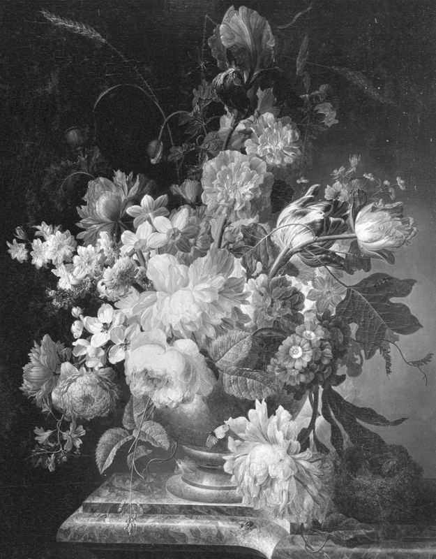 Fleurs