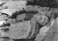 B117573