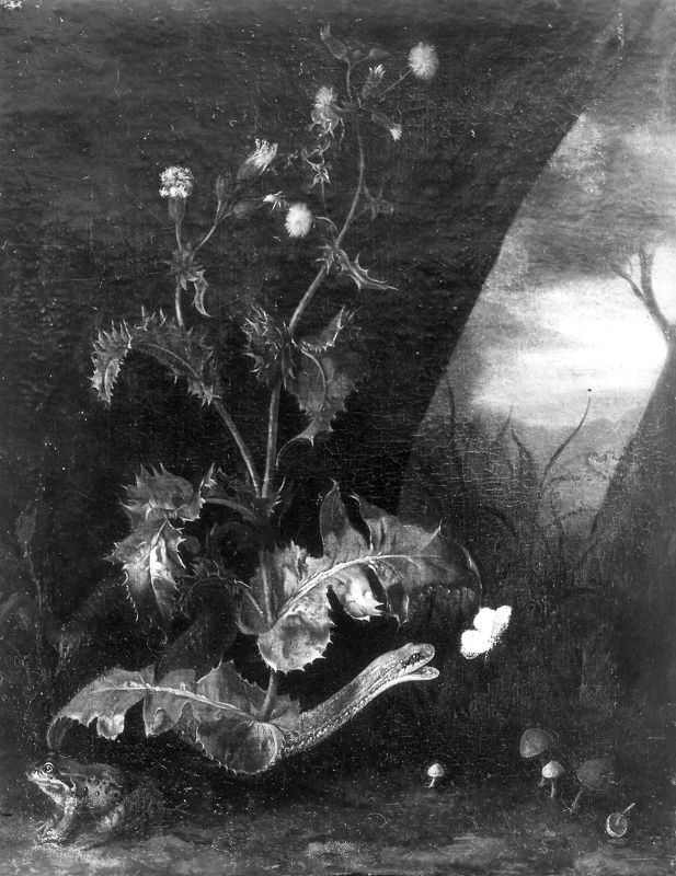 Distel en slang