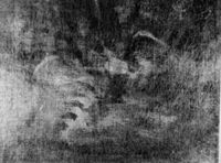 B117979