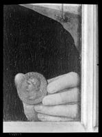 B118381