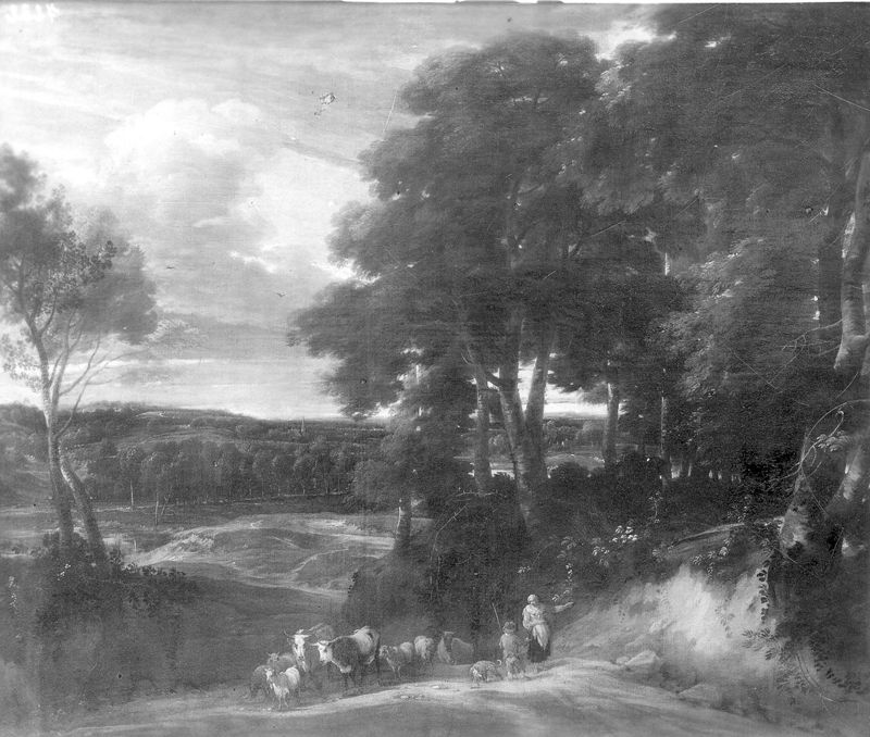 Landschap