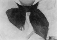 B118642