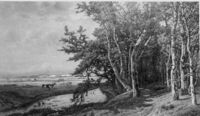 B118966