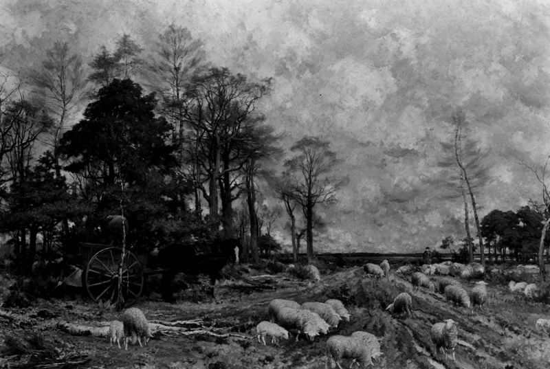 Lente in de heide