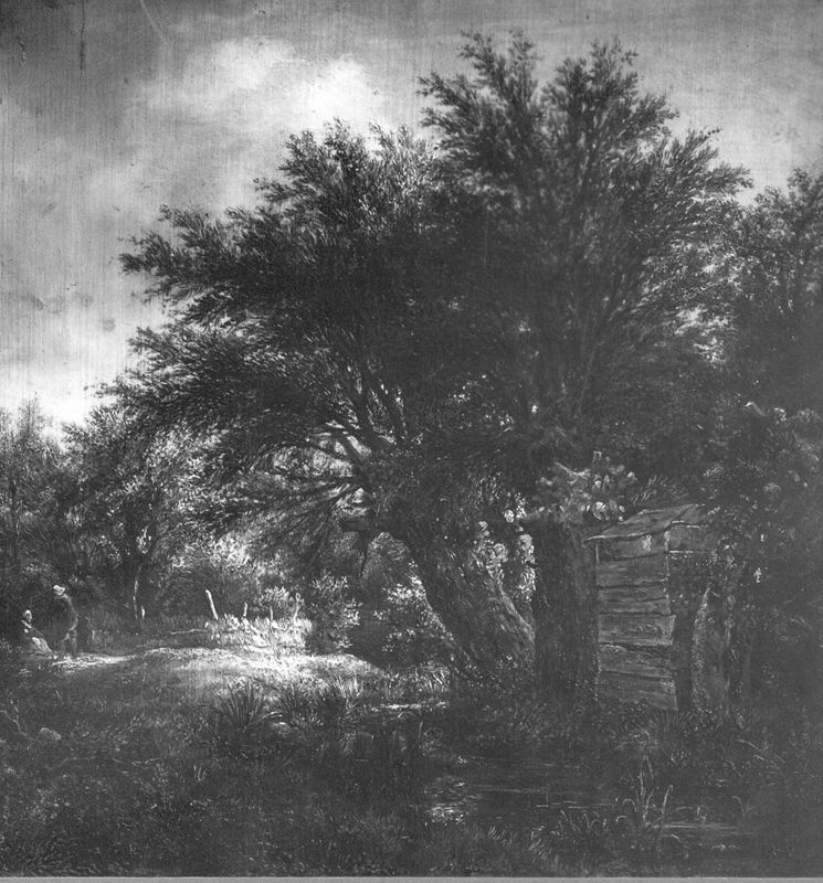 De Wilgen