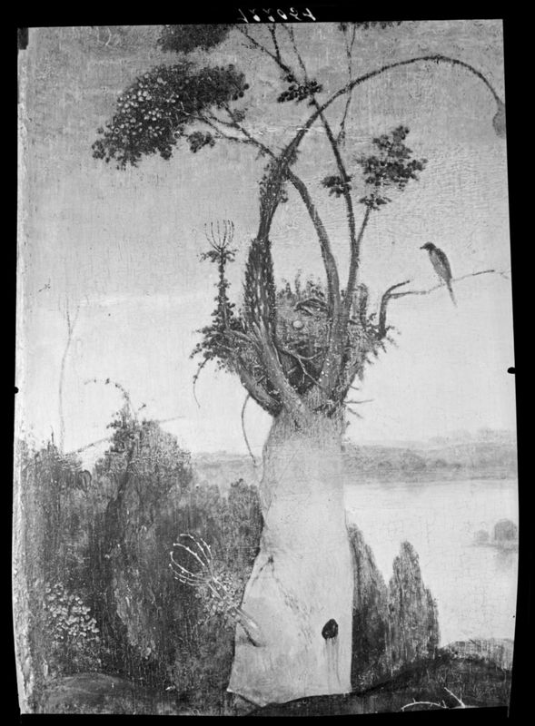 H. Hieronymus