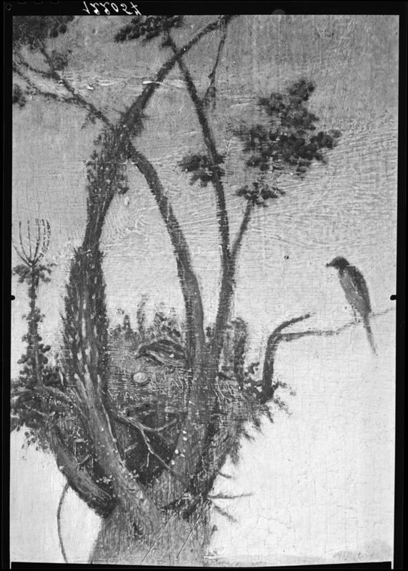 H. Hieronymus