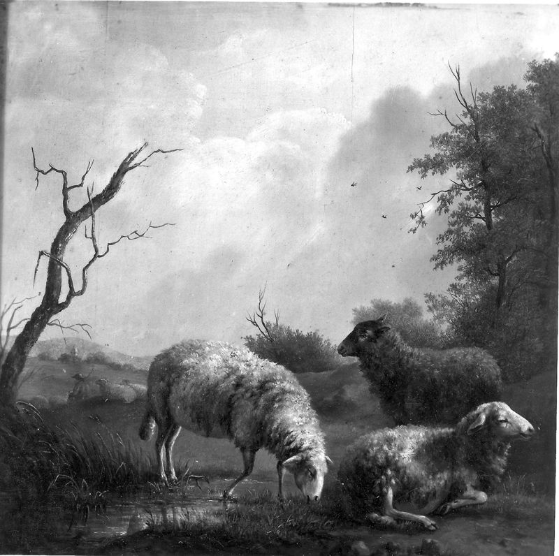 Moutons