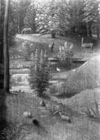 B123389