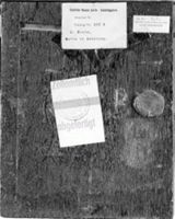 B123563