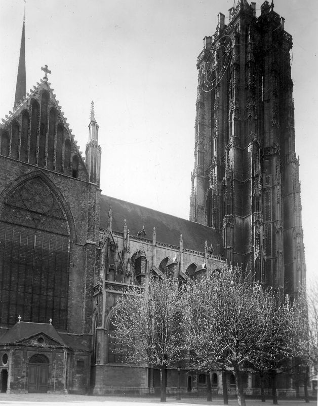 cathédrale / Sint-Romboutskathedraal[Mechelen]