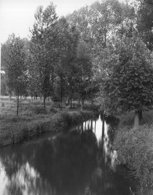 cours d'eau / Aspect[Latinne]