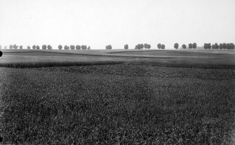 terrain agricole / Aspect[Abolens]