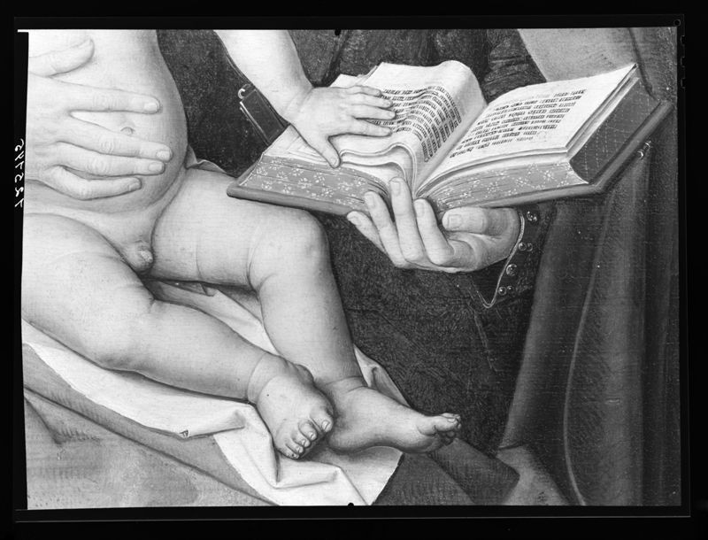 La Vierge et l'Enfant entre saint Jacques et saint Dominique présentant les donateurs et leur famille
La Vierge de Jacques Floreins