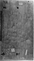 B125283