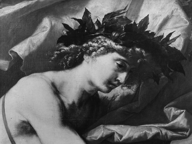 Apollo vilt Marsyas