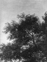B126272