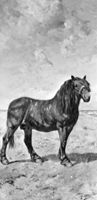 B126580