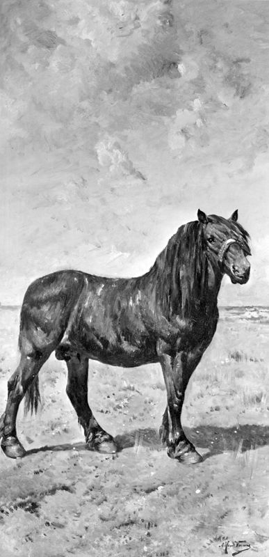 L'Etalon brun