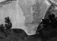 B126956