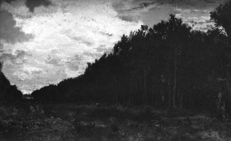 La lisière du bois
