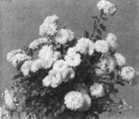 B129301