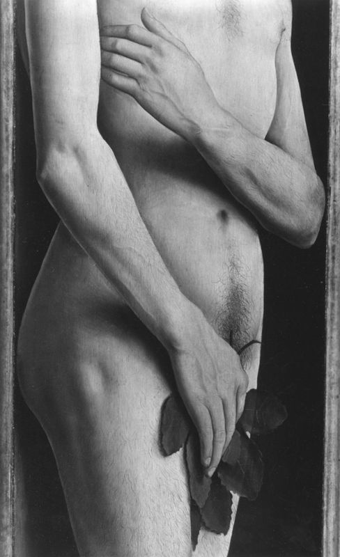 Lam Gods: Adam