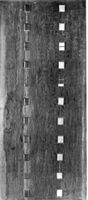 B129487