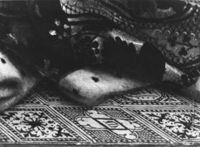 B129517