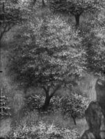 B129556