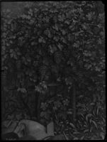 B129609