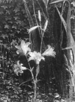B129682