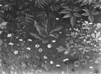 B129700