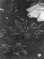B129701