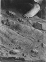 B129714