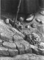 B129716