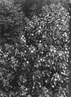 B129721