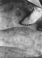 B129741