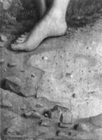 B129742
