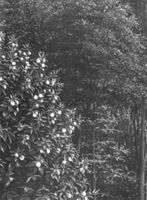 B129746