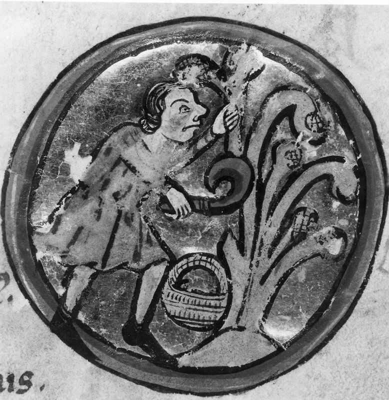 psalmboek