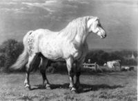 B133557