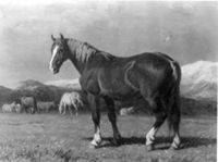 B133558