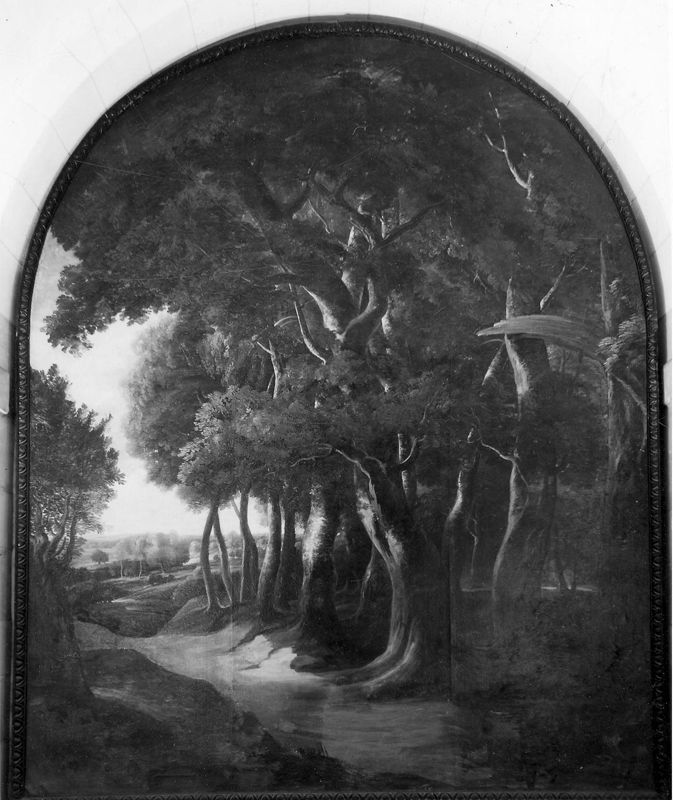 Landschap